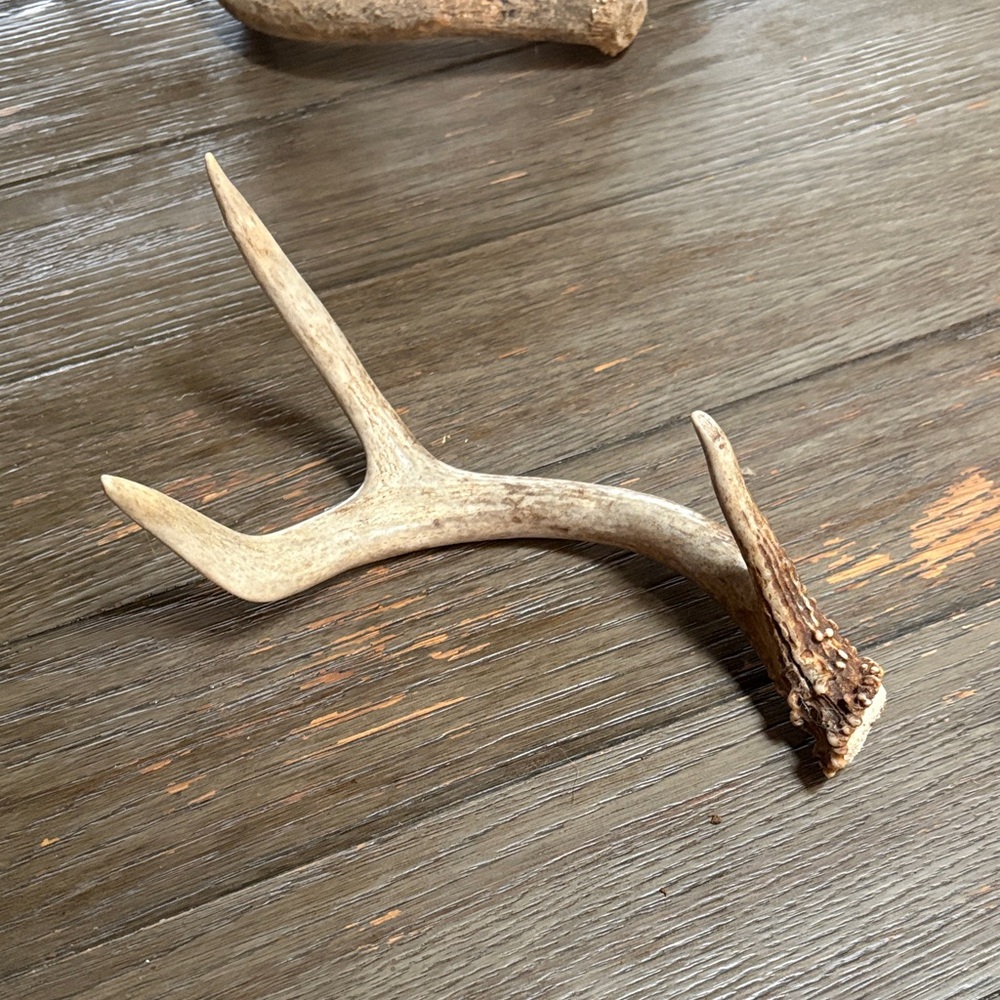 Rustic Antler Wall Decor